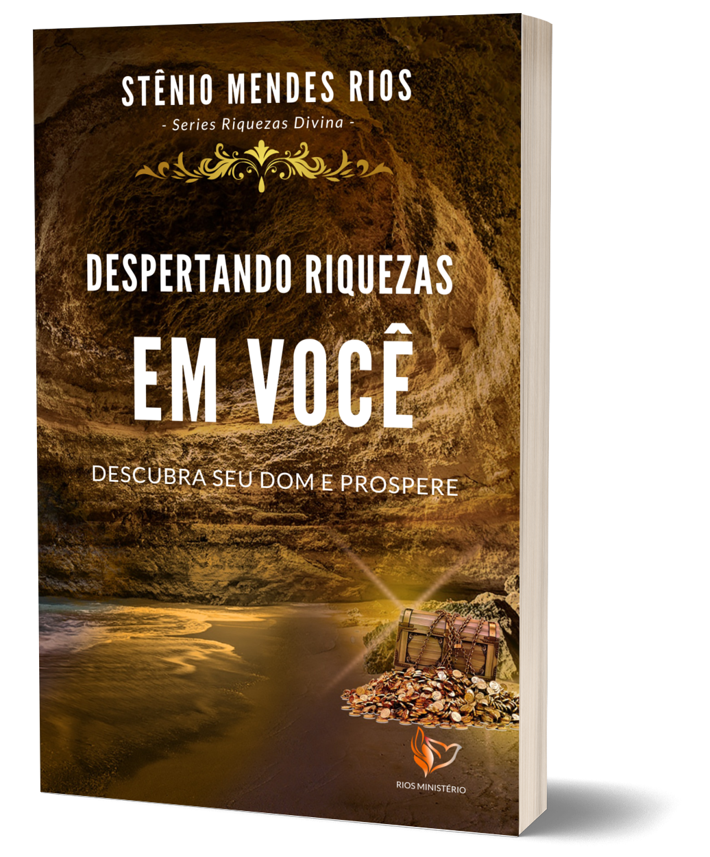 Capa do livro Despertando Riquezas em Você